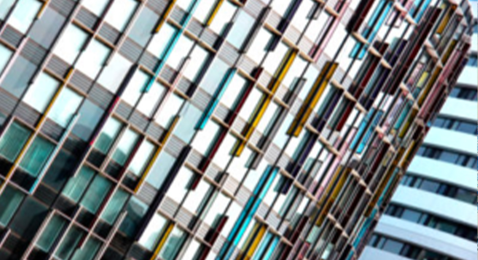 finestre dell'edificio