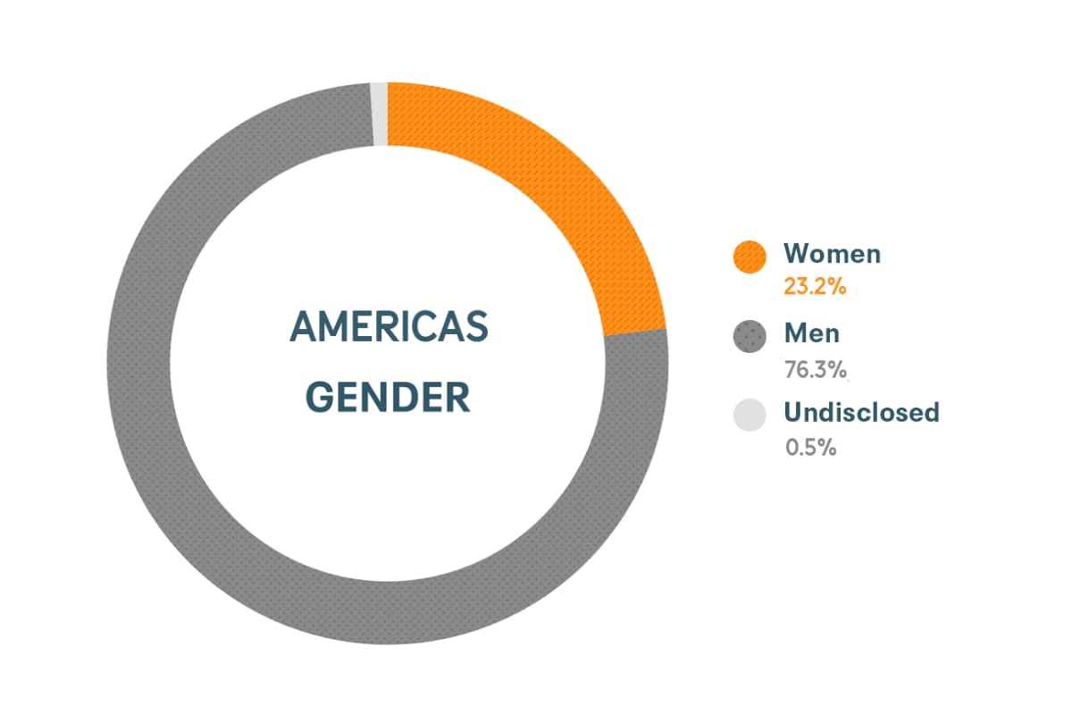 Dati su diversità e inclusione per genere nelle Americhe di Cloudera: donne 24%, uomini 76%