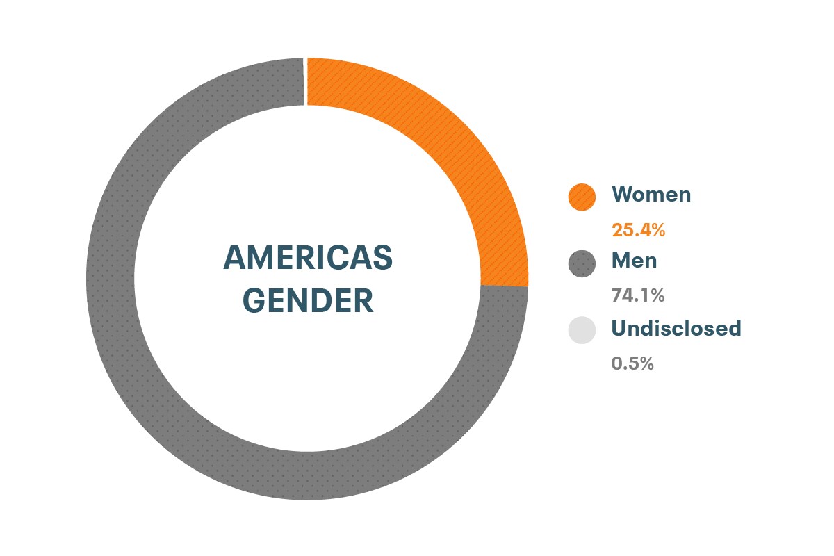 Dati su diversità e inclusione per genere nelle Americhe di Cloudera: donne 24%, uomini 76%